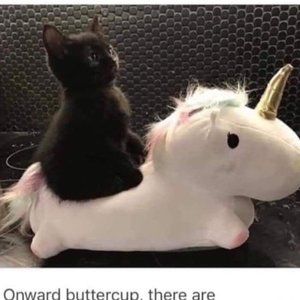 Meet your Posher, Javier